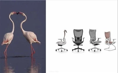 Mesh Training Room Chair